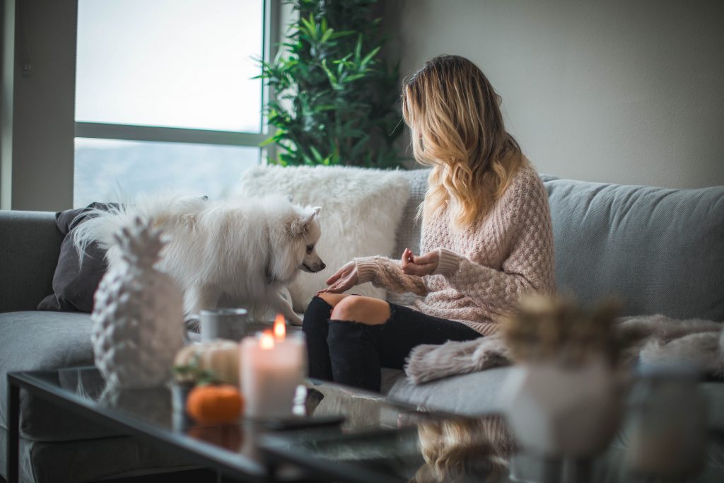 renters insurance content image