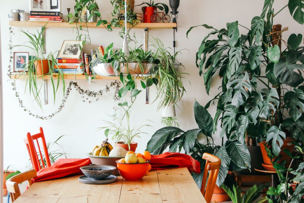 renters insurance content image