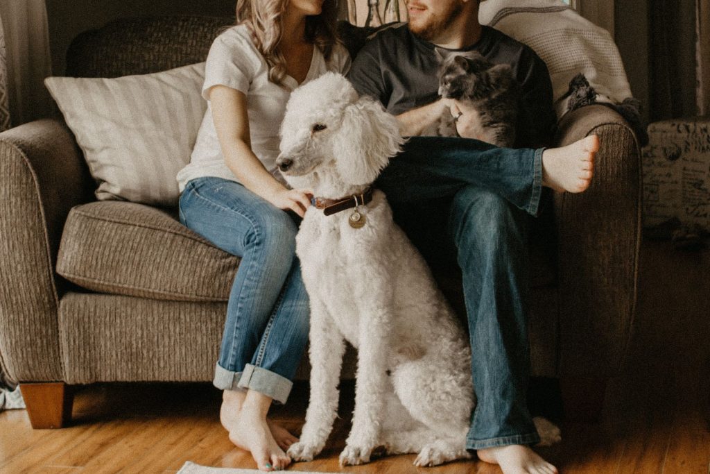 renters insurance content image