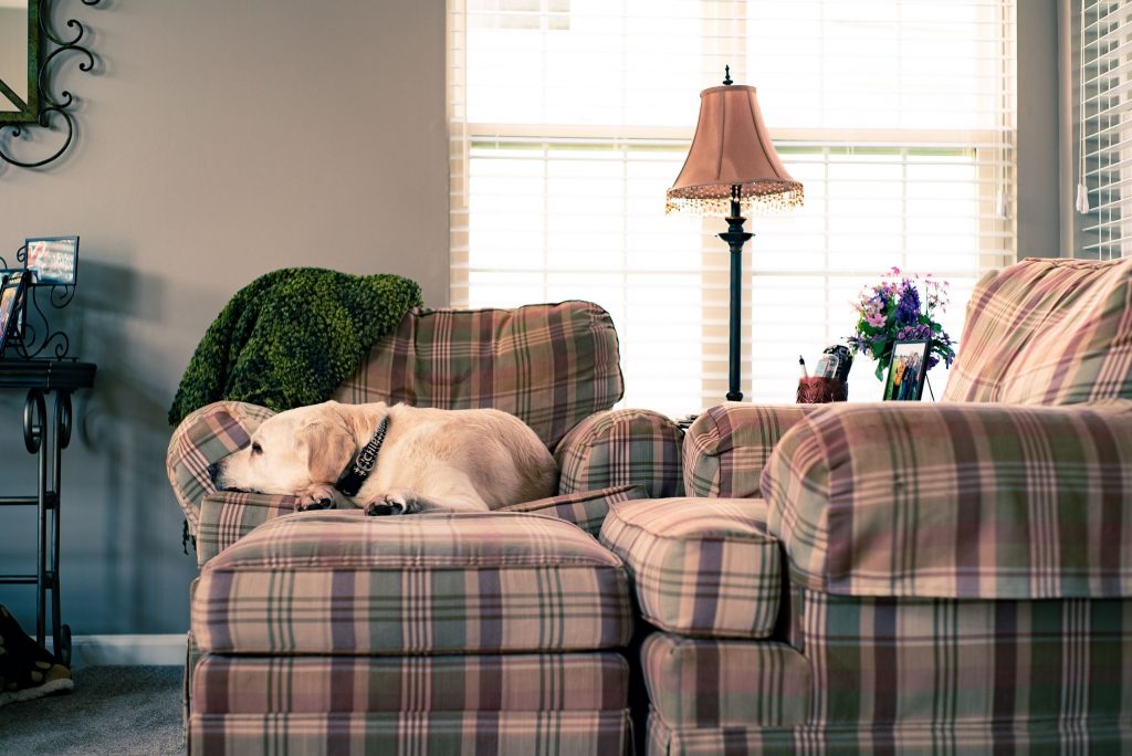 renters insurance content image