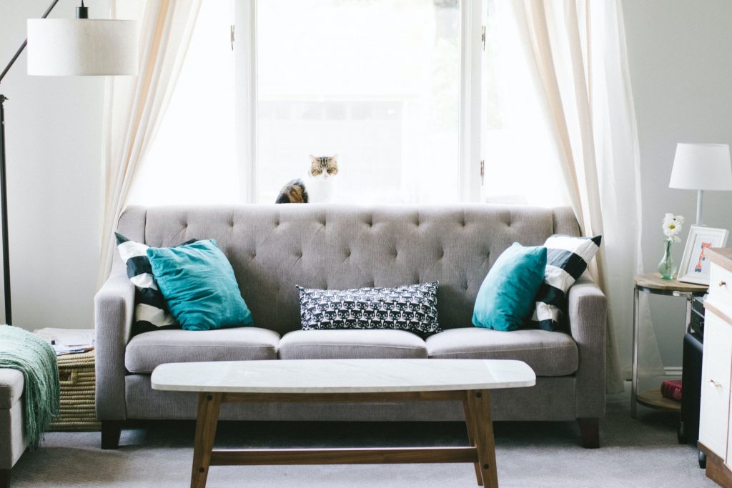 renters insurance content image